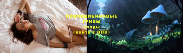 эйфоретик Покровск