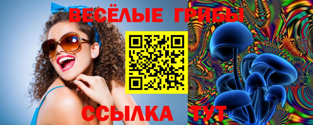 Азнакаево  Галлюциногенные грибы прущие грибы  даркнет сайт  Вход с VPN 
