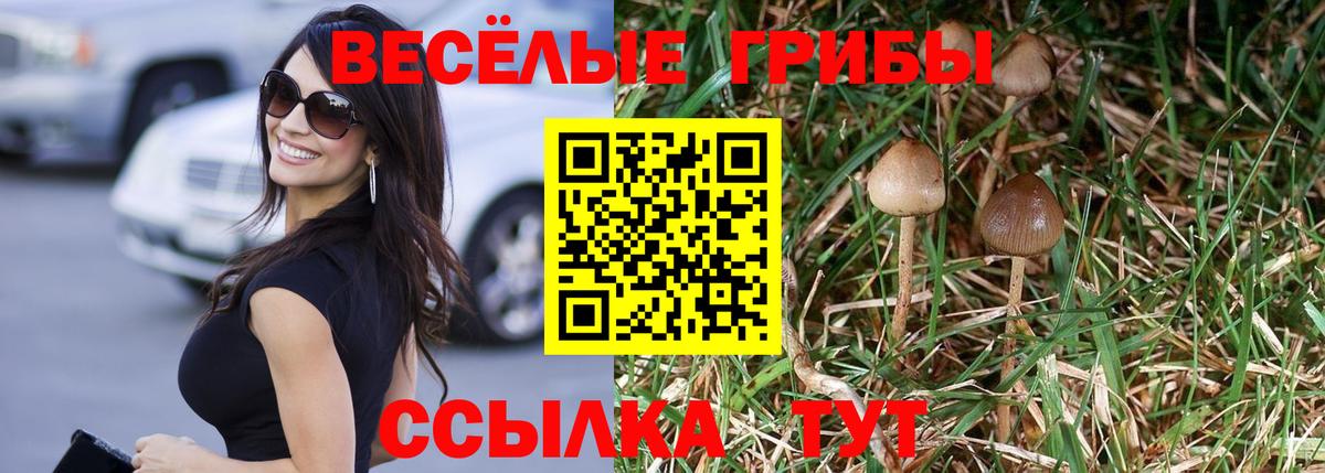 Азнакаево  Псилоцибиновые грибы мицелий  Вход с VPN  Галлюциногенные грибы мицелий 