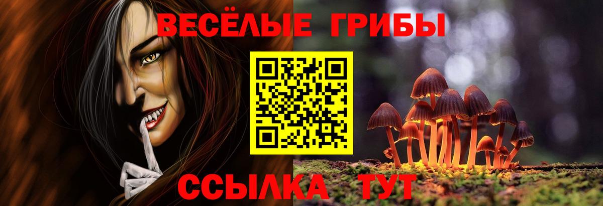 Галлюциногенные грибы прущие грибы Азнакаево